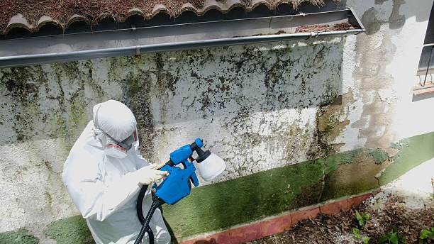 Top rated local Crawl Space Mold Remediation specialists in Trevorton, PA